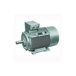2H071433 IE2 SERIES TEFC SCR MOTORS BHARAT BIJLEE